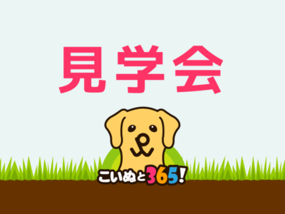 【九州盲導犬協会】2月見学会 @ 九州盲導犬協会 | 糸島市 | 福岡県 | 日本