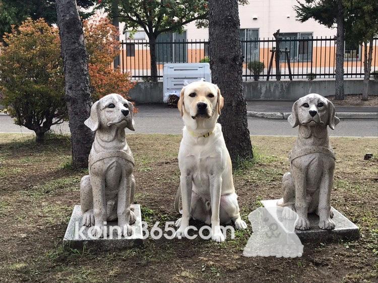 日本盲導犬協会　ワンちゃんエコバッグ