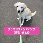 クラウドファンディング先まとめ