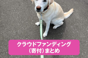 クラウドファンディング先まとめ