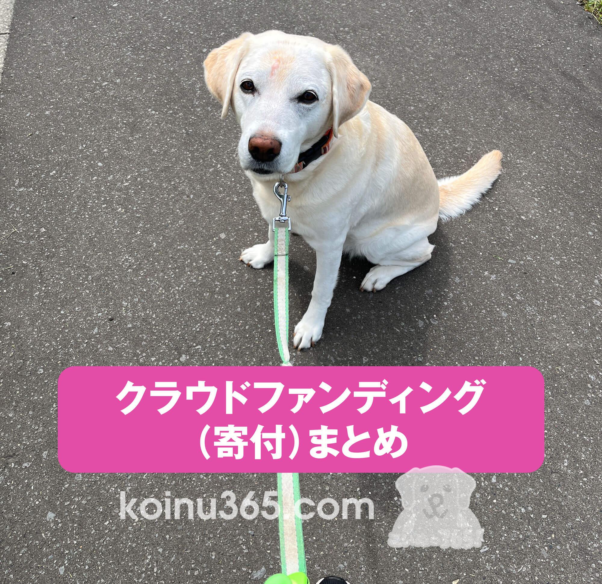 クラウドファンディング先まとめ